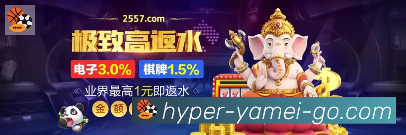 体育数据展示